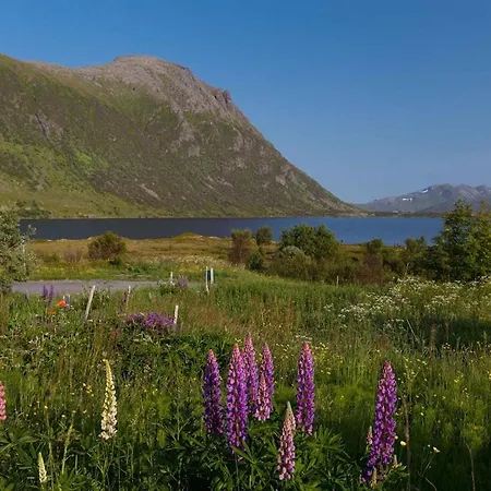 Peaceful Retreat In Lofoten